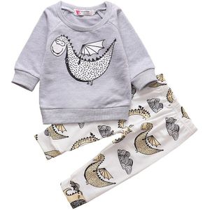2 Stuks Pasgeboren Baby Boy Kleding Set Herfst Dinosaur Print Katoen Lange Mouwen T-shirt Broek Herfst Baby Kleding Peuter Outfits