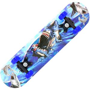 Populaire 2 Stijl Maple Hout Katrol Wiel Hoge Snelheid Compleet Skateboard Skate Board Tieners Hoverboard Dek Skateboard # G4