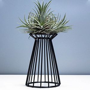 Air Plant Holder Stabiele Display Tafel Kantoor Ornamenten Geometrische Vrijstaande Huis Tuin Bloempotten Indoor Balkon