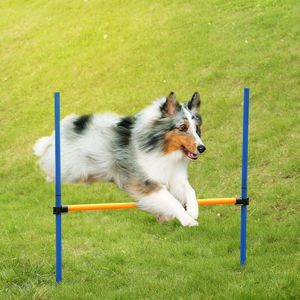 Outdoor Pet Dog Agility Sport Games Training Apparatuur Honden Jump Hindernis Activiteit Agility Oefening Pole Set Met Draagtas