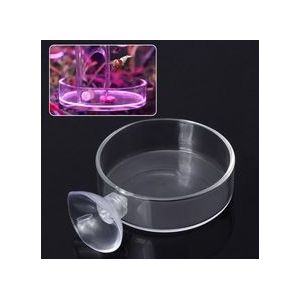 Aquarium Feeder Aquarium Garnalen Glas Voerbak Clear Schotel Lade Aquarium Fish Feeders Aquario Accessoire