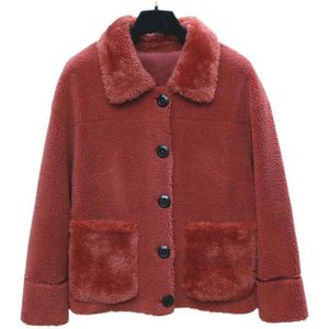 Faux Fur Jas Vrouwelijke Jas Herfst Winter Jas Vrouwen Kleding Koreaanse Vintage Korte Tops Manteau Femme ZT4553