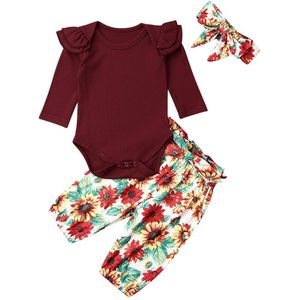 Herfst Winter Kleding Baby Meisje Kleding Katoen Tops Bloemen Lange Broek Prinses Meisje Kleding Set Outfit 2 Stuks 0-18 Maanden