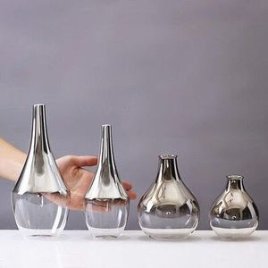 Moderne glazen vaas zilverkleurige glas terrarium kleine vazen Droge bloemen voor vaas Hydrocultuur Container bruiloft woondecoratie