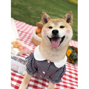 Mode Plaid Shirt Voor Hond Kleding Voor Honden Kat Zomer Kleding Akita Schauzer Shirt Puppy Kleding Kleding Voor huisdier