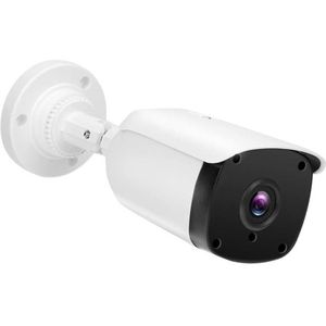 Waterdichte Cam Ahd Camera 1080P Infrarood Night Cam IP66 Waterdichte 5MP Outdoor Security Monitor AC100V ‑ 240V