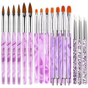 21Pcs Nail Art Set Kit Roze Acryl Penselen + Marmer Uv Gel Pennen + 2-Manieren Puntjes Pennen + Fine Liner Details Borstel