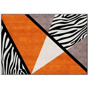 Creatieve Geometrische Woonkamer Tapijt Oranje Zebra Patroon Karpetten Licht Luxe Stijl Slaapkamer Nachtkastje Decor Antislip Vloer mat