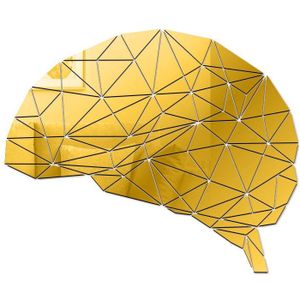 Psycholoog Brain Mind Vormige Acryl 3D Spiegel Sticker Muur Decor Muurschildering Spiegel Neuroscience Hersenen Anatomie Diy Espejos De Pared