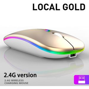Draadloze Muis Bluetooth Muis Rgb Oplaadbare Stille Mause Ergonomische Gaming Muis Voor Laptop Pc Macbook 1600Dpi 2.4G Muis