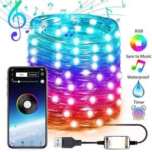 Led Led Verlichting Snaar Kerstverlichting Afstandsbediening Lichten Led Rgb 20/50/100/200 Leds Waterdichte Bluetooth strip Verlichting