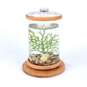 360 Graden Roterende Glazen Betta Vis Tank Bamboe Base Mini Aquarium Decoratie Draaien Vis Kom Aquarium Accessoires