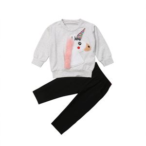 Prinses Kinderen Baby Meisjes Jongens Winter Herfst Kleding Sets Leuke Cartoon Eenhoorn Sweatshirt Tops + Broek 2 stks Baby Chidlren outfit