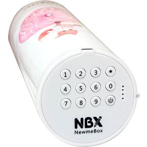 Wachtwoord Etui Pennenbakje Cartoon Patroon Penhouder Grote Capaciteit Briefpapier Codeslot Home Office School Opbergtas