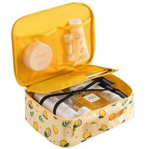 Dubbellaags Professionele Make-Up Tas Organizer Draagbare Transparante Wc Bag Storage Pouch Cosmetica Vrouwelijke Toilettas Kit