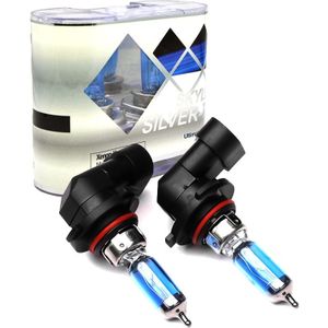 2 Pcs Cool White 5000K 12V 55W H1 H7 H4 Auto Auto Halogeenkoplampen