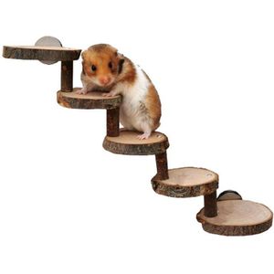 Houten Ladder Voor Hamsters, Houten Kooi Levert Voor Speelgoed Huisdieren Papegaai Cavia Gekauwd Door Kleine Huisdieren