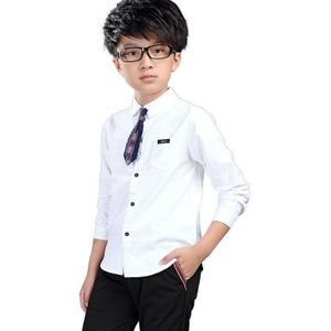 Mode Pure Wit Shirt Katoen Lente Jongen Shirt Turn-Down Kraag Lange Mouw Voor Tiener School jongens 4 8 10 16 Y
