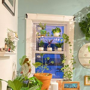 Venster Plant Bloem Pot Vaas Rack Holder Hanger Bloempot Opslag Rack Plank Transparant Acryl Tuin Opknoping Bloem Houder