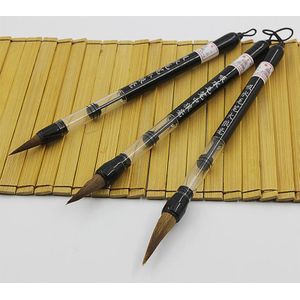3 stks/set Verstelbare Zuiger Water Schrijven Borstel Pen Chinese Kalligrafie Beginner Wezel Haar Pen en Wol Pen