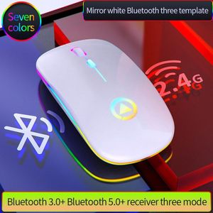 Bluetooth Mouse Silent Mause Rechargeable 2.4G Wireless Mouse Ergonomic RGB Mini Mouse USB Optical Mice For PC laptop Desktop