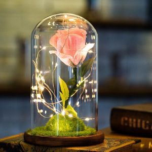 Valentijnsdag Liefde Schoonheid Kunstmatige Rose Bloemen Usb Gloeiende Onsterfelijke Rose In Glazen Fles Voor Thuis Desktop Decor