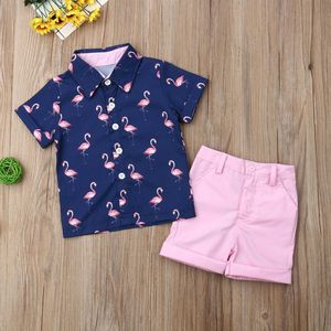 2 STUKS Set Peuter Kid Baby Boy Flamingo Print Tops T-shirt + Shorts Broek Outfits Kleding