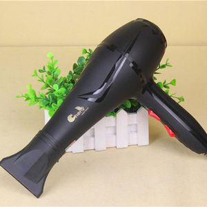 2500W Föhn High-Power Professionele Haar Föhn Black Heat Snelheid Blower Droog Watt Haar zorg