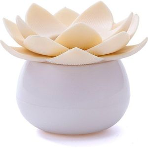 1Pcs Wattenstaafje Opbergdoos Tandenstoker Box Wattenstaafje Case Houder Tandenstoker Container Cosmetische Make-Up Organizer Box