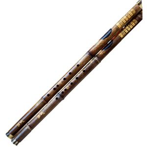 Paars Bamboe Fluit Bawu Dwarse Spelen Bawu wellTune Professionele Fluit F/G Sleutel Flauta Transversale Bawu Muziekinstrumenten