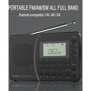 Draagbare Radio Fm Am Sw Radio Ontvanger Dsp Kortegolf Fm Speaker Ondersteuning Tf Card Usb Rec Recorder Bluetooth-Compatibel MP3 Speler