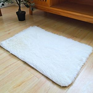 Pluizige Tapijt Tapijten Antislip Bed Badmat Tapis Salle De Bain Bad Pad Kleine Badkamer Tapijten Voor Living kamer Badkamer