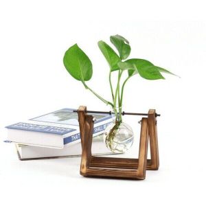 Glazen Vazen Tafelblad Houten Stand Vintage Home Decor Planter Pot Terrarium Decor