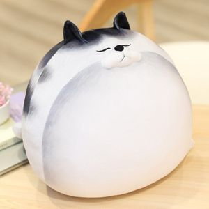 30/50 Cm Leuke Vet 3D Katten Knuffels Knuffeldier Duplex Gedrukt Katten Pop Zacht Kussen Zitkussen cadeau Voor Kinderen Meisjes Baby