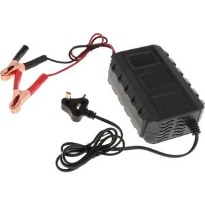 12V 20A Auto Voertuig Batterij Oplader Intelligente Lood-zuur Pulse Reparatie Batterij