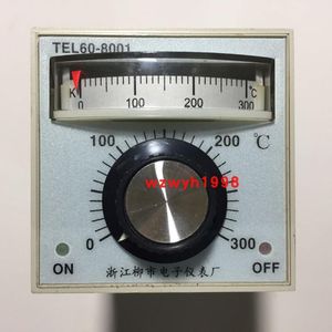 Liushi Elektronische Meter TEL60-8001 Oven Gewijd Temperatuur Controller Schoen Machine Temperatuurregeling 60 × 60