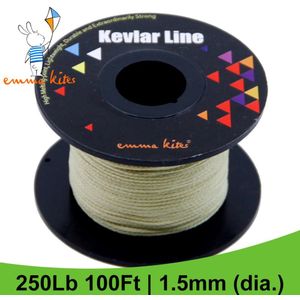 100ft 250lb Kevlar 1 Mm Gevlochten Lijn Voor Vissen Vliegende Kite Lijn String Camping Backpackinng Outdoor Activiteiten