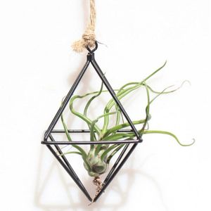 Opknoping Plantenbakken Geometrische Swing Smeedijzeren Tillandsia Lucht Planten Houder Driehoekige Metalen Rek Vrijstaande