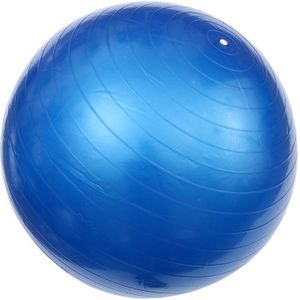 65Cm 800G Professionele Anti Burst Stabiliteit Yoga Bal Balanceren Devcie Oefening Tool Voor Fitness Gym Workouts Met Pomp air Clam