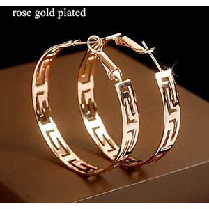 Rose Goud Kleur Ronde Vorm Timeless Styling Prachtige Dame Oorringen