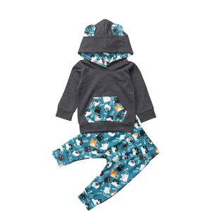 Peuter Baby Meisjes Jongens Mooie Kleding 2 Stuks Lange Mouw Hooded 3D Oren Cartoon Print Hoodies Tops + Broek Herfst winter Kleding