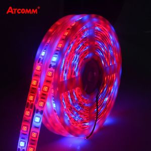 5 M Led Phyto Lampen Volledige Spectrum Led Strip Licht 300 Leds 5050 Chip Led Fitolampy Kweeklampen Voor Kas hydrocultuur Plant