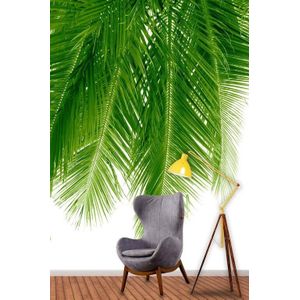 Groene Palm 3D Dimensionale Behang 288841738
