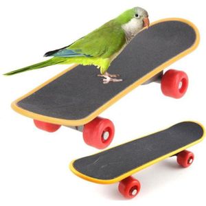 Huisdier Skateboard Vogel Training Skateboard Plastic Stents Scrub Scooter Skate Boarding Kleine Papegaai Vogels Grappige Sporting Speelgoed