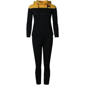 Herfst Dames Pak Vrouwen Effen Kleur Lange Mouw Hooded Sweater en broek Trainingspak Sport Pak Outdoor Streetwear Kleding