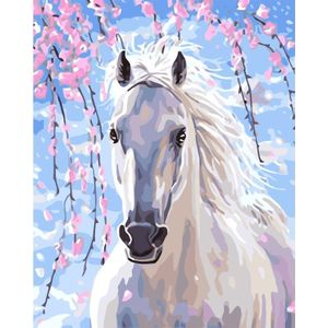 Wit Paard Hand Made Verf Canvas Mooie Schilderen Door Numbers Verrassing Grote Voldoening