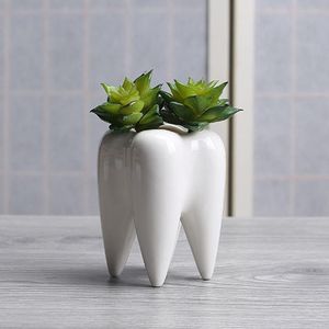 Tanden Vorm Keramische Bloempot Innovatie Moderne Witte Keramische Succulent Bloempot Woondecoratie Exclusief Planten