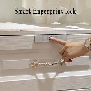 Smart vingerafdruk slot Huis lade vingerafdruk slot garderobe Schoen kastdeur kast bureau vingerafdruk slot