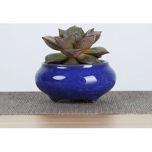1 Stuk Ijs-Crack Keramische Bloempotten Voor Sappige Planten Kleine Bonsai Pot Huis En Tuin Decor Mini Succulent plant Potten