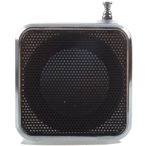 TD-V26 Draagbare Mini Speaker Met Digitale En Micro Sd/Tf/Usb/Fm-Zwart